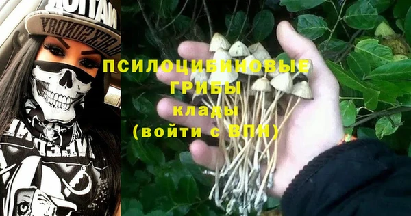 мдпв Покровск